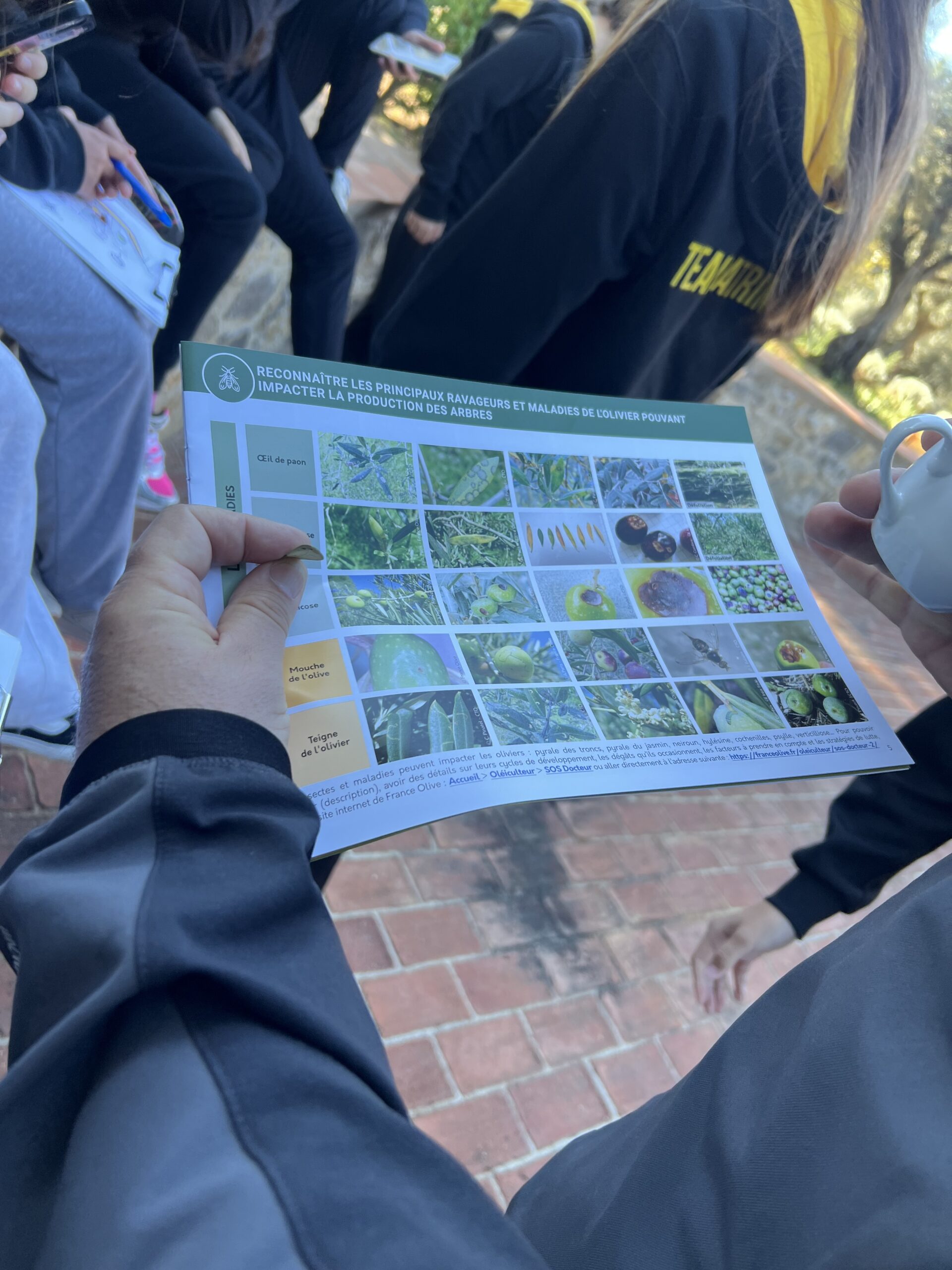 JDO-patrimoine-font de fillol-2025