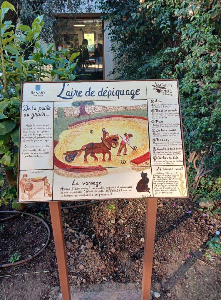 jardin-olivier-patrimoine-2025-1